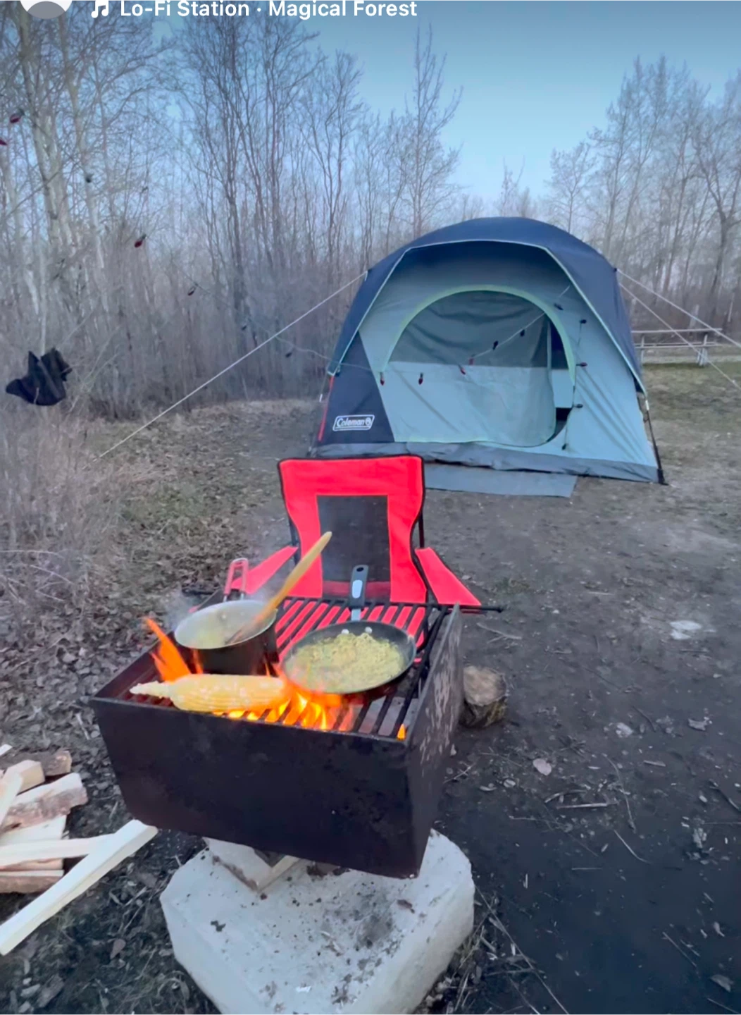 Camping gear (25 items) read description