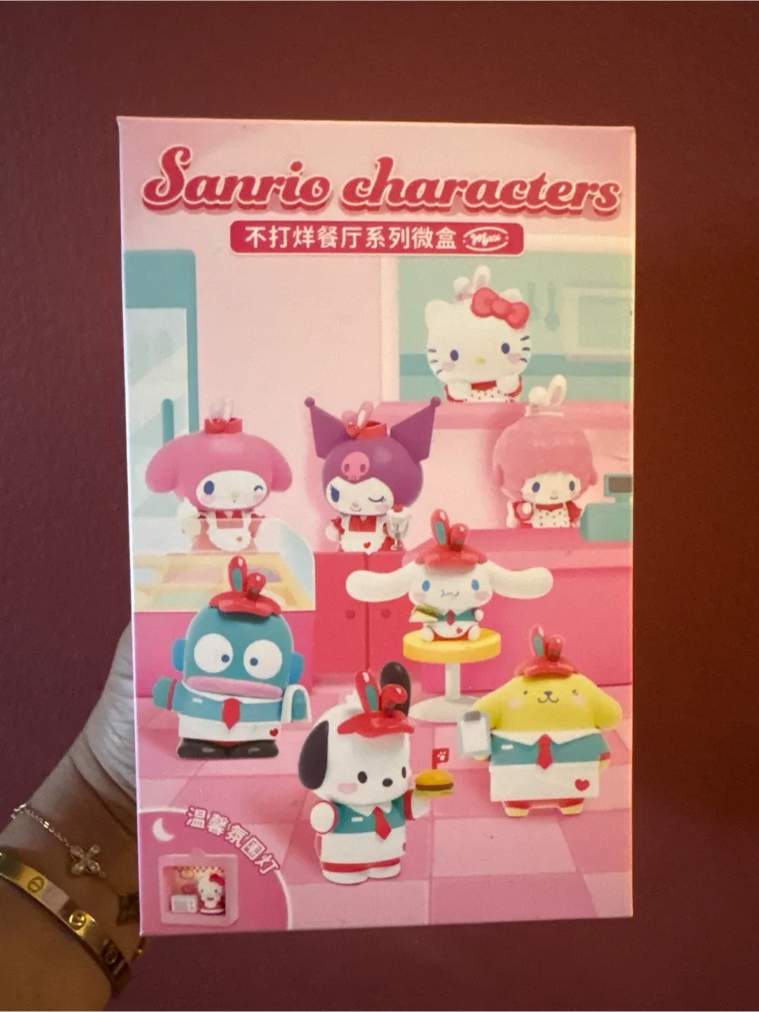 Authentic Sanrio Characters House of minies