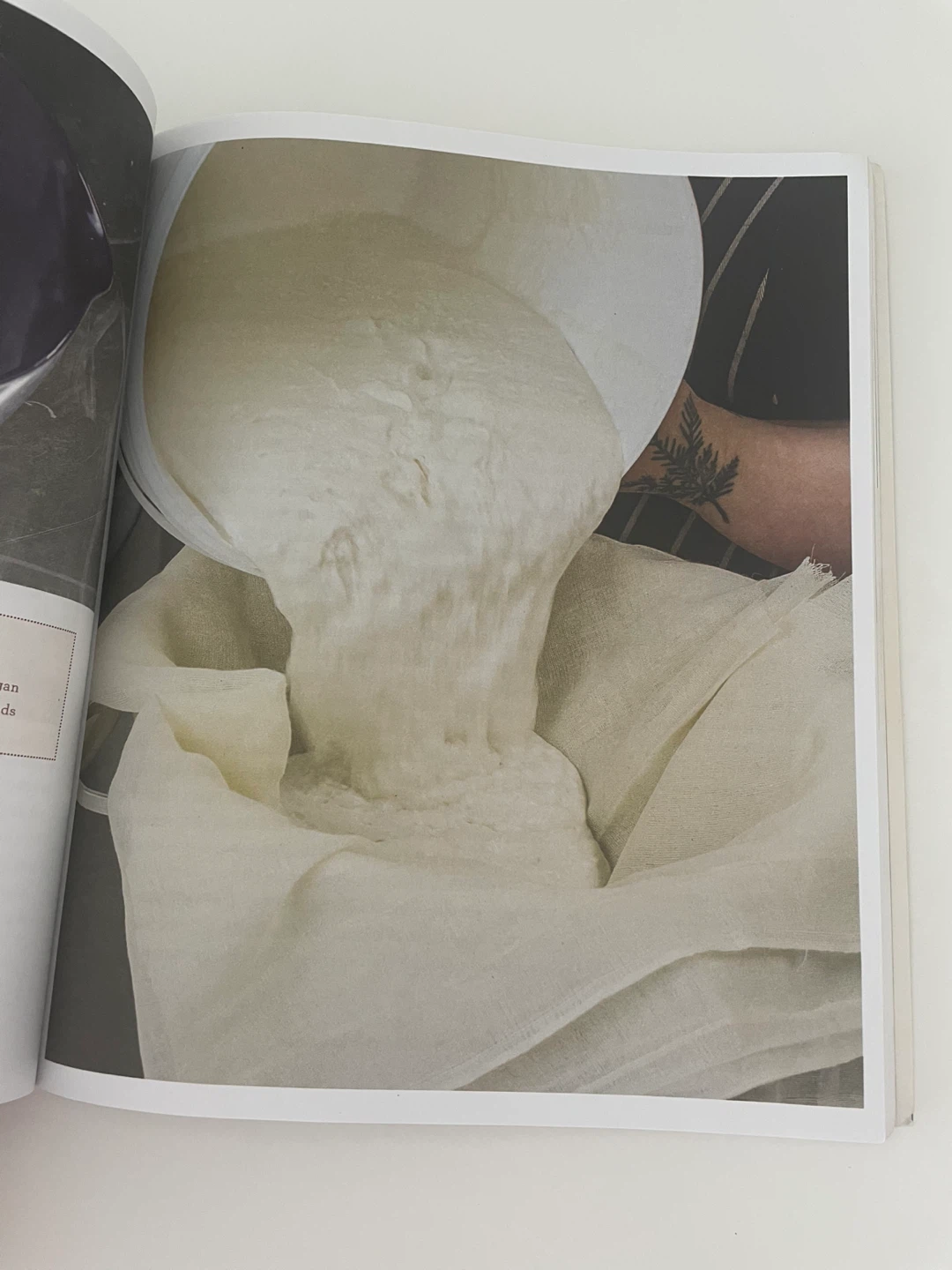 The Art of Plant-Based Cheesemaking Book - photo 2