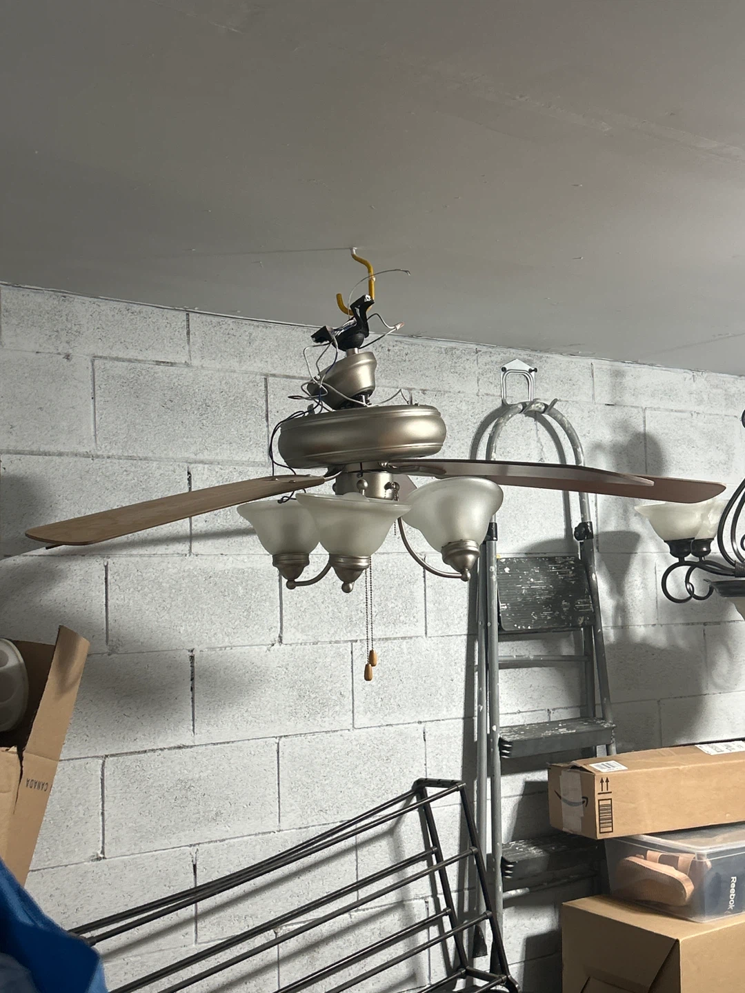 Ceiling Fan with Lights