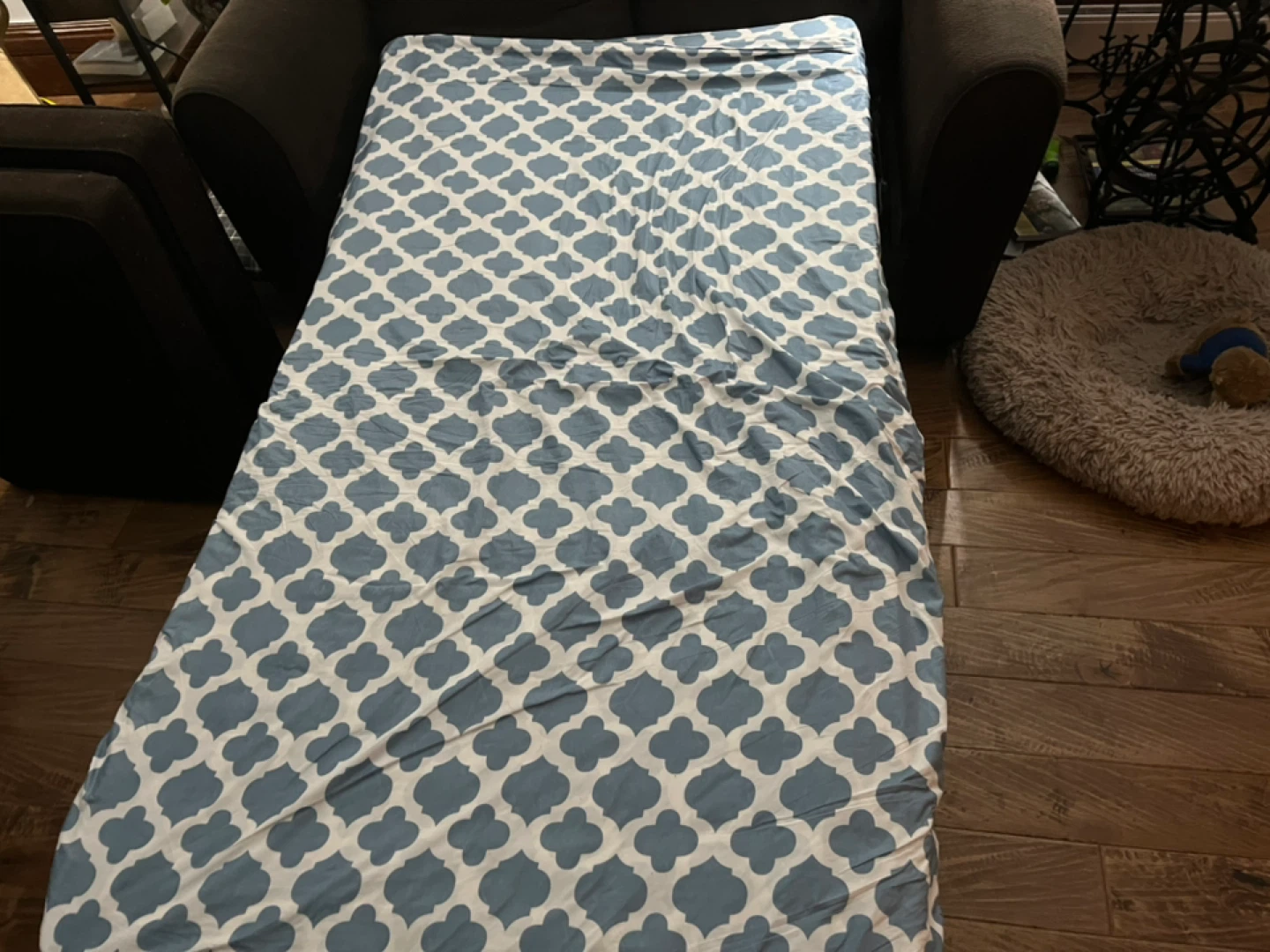 Pull-Out Sofa Bed - Like New! - photo 3