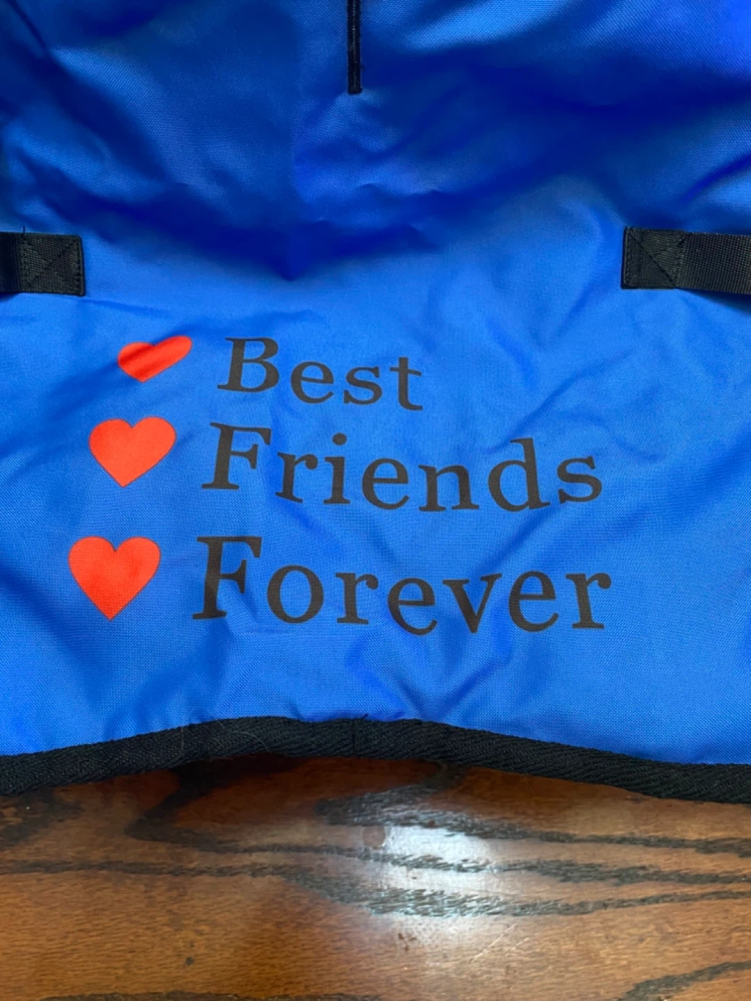 Best Friends Forever Dog Life Vest - Size S - photo 2