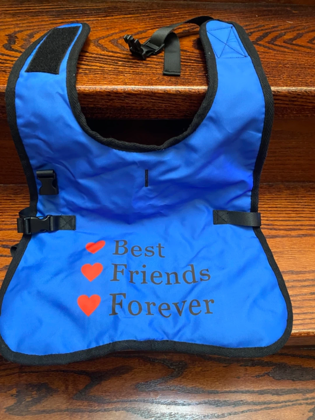 Best Friends Forever Dog Life Vest - Size S