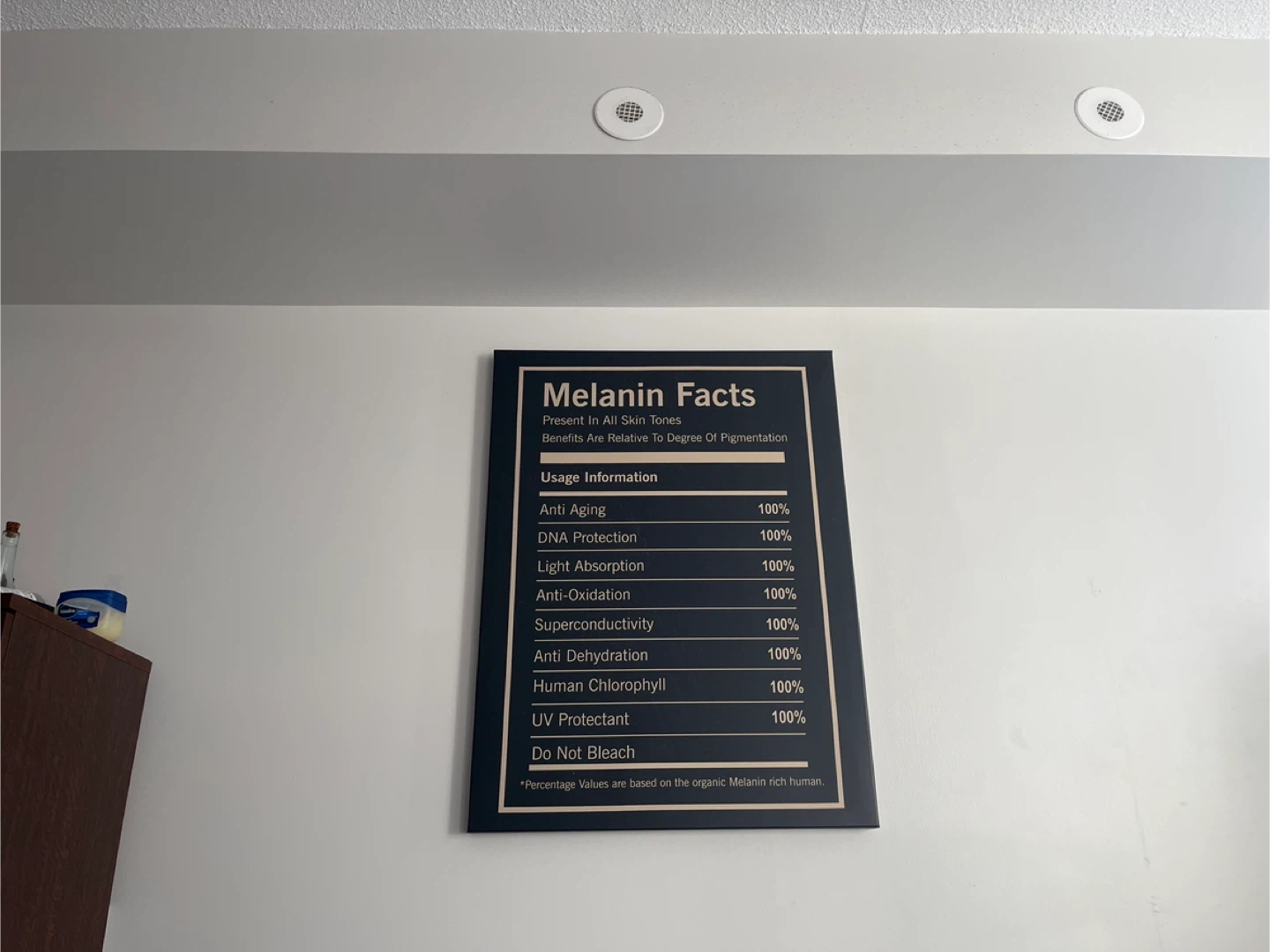Large “Melanin Facts” Canvas Wall Art - photo 2