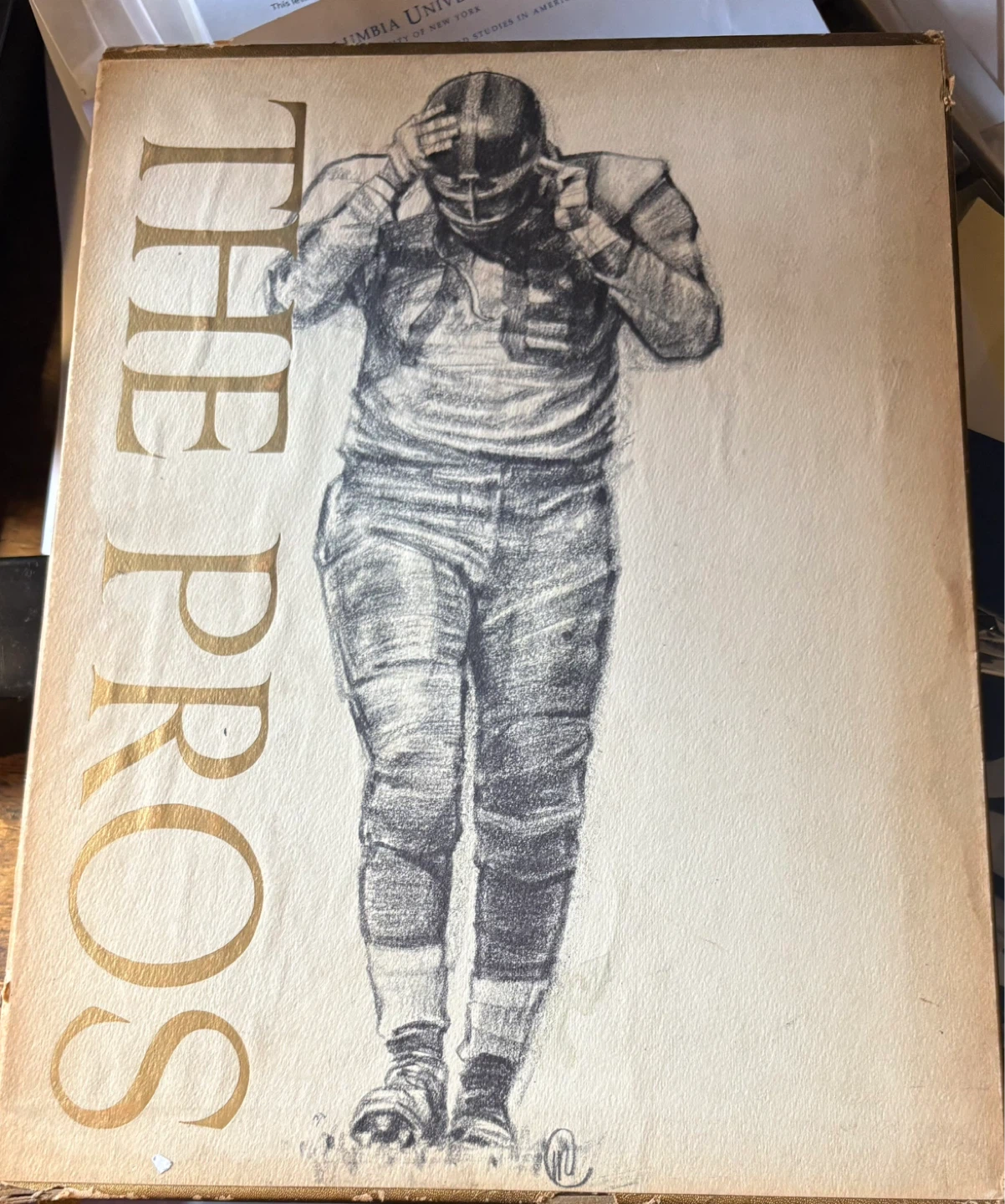 The Pros: rare book about Professional Football in America