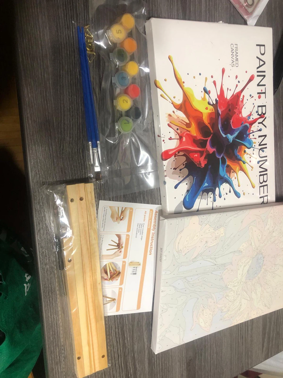 Paint by Numbers Framed Canvas Kit - New