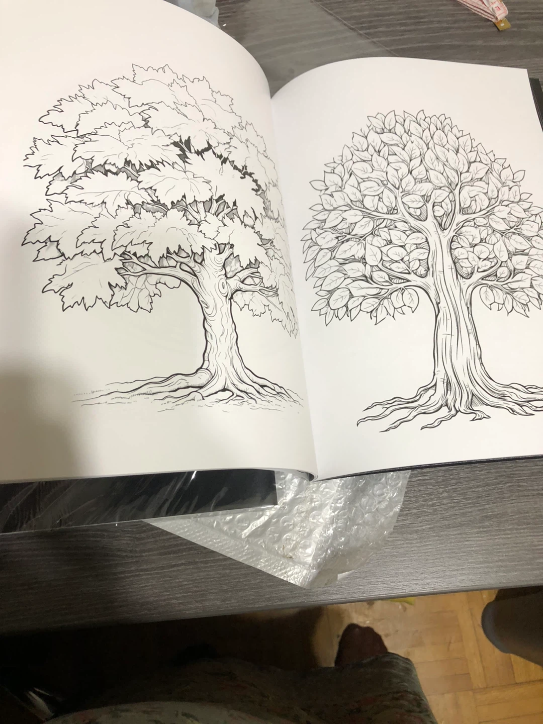 COSFLY Coloring Book for Adults - photo 4
