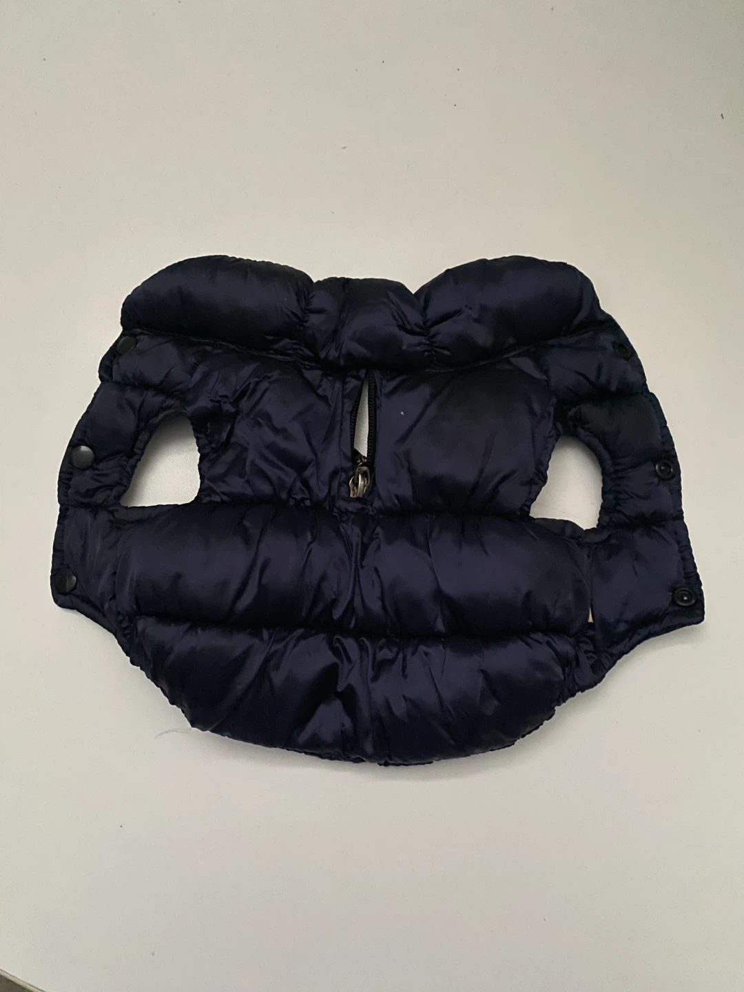 winter coat for small puppies - photo 5