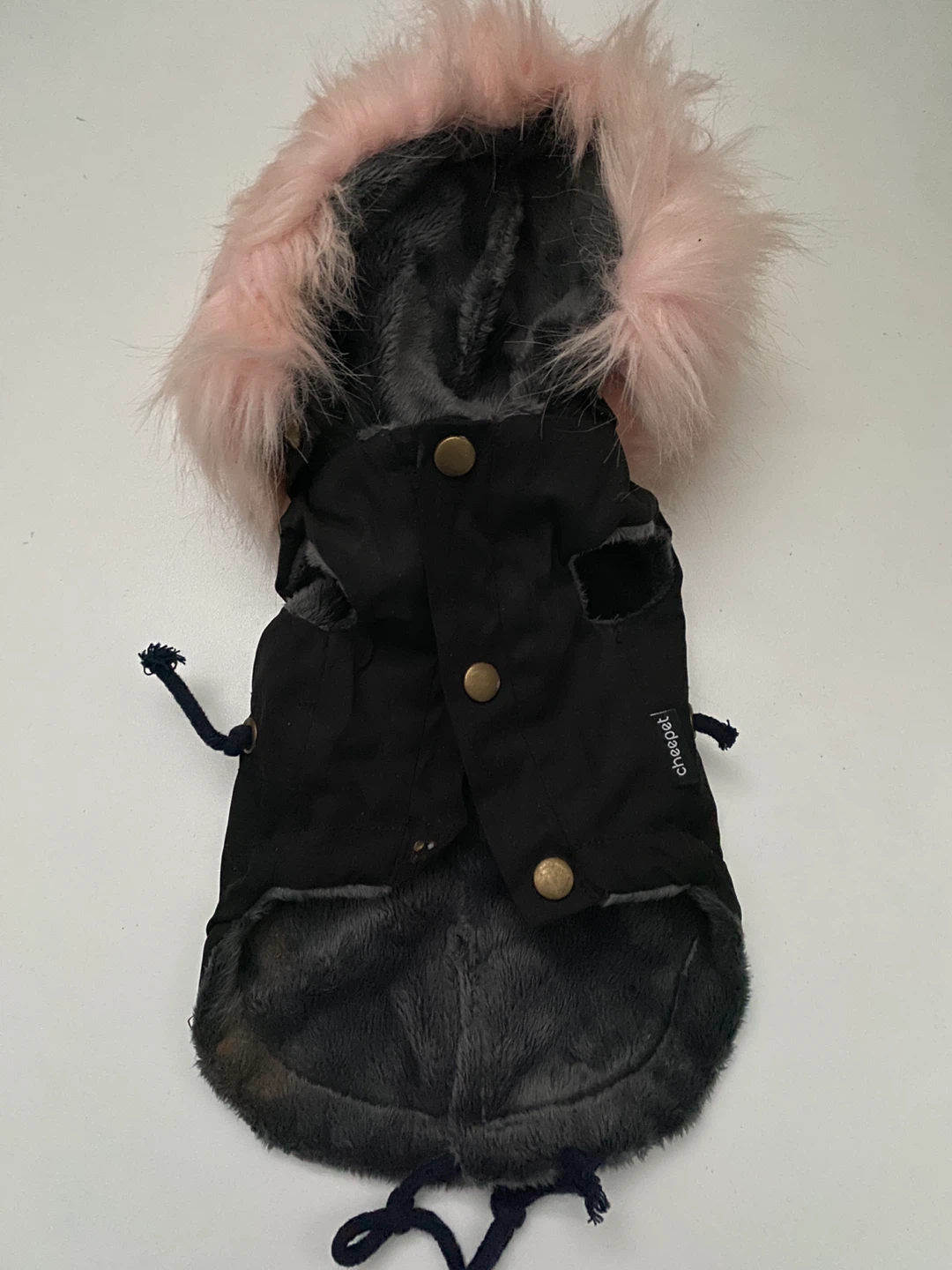 winter coat for small puppies
