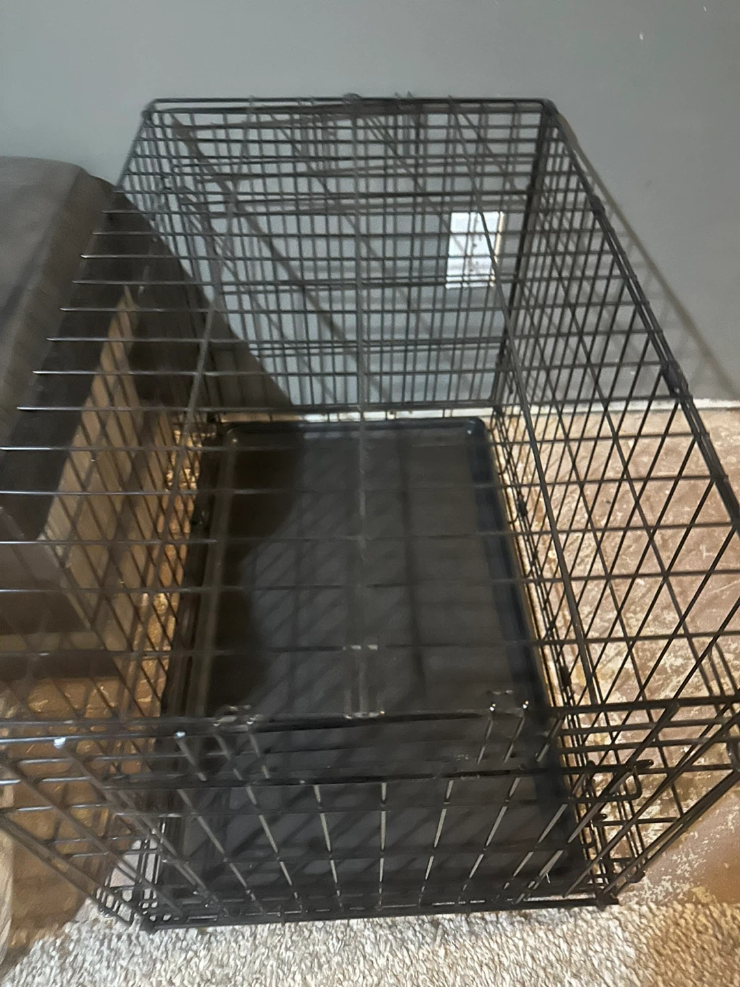Dog Crate Medium Black Metal With Tray on Bottom - photo 5