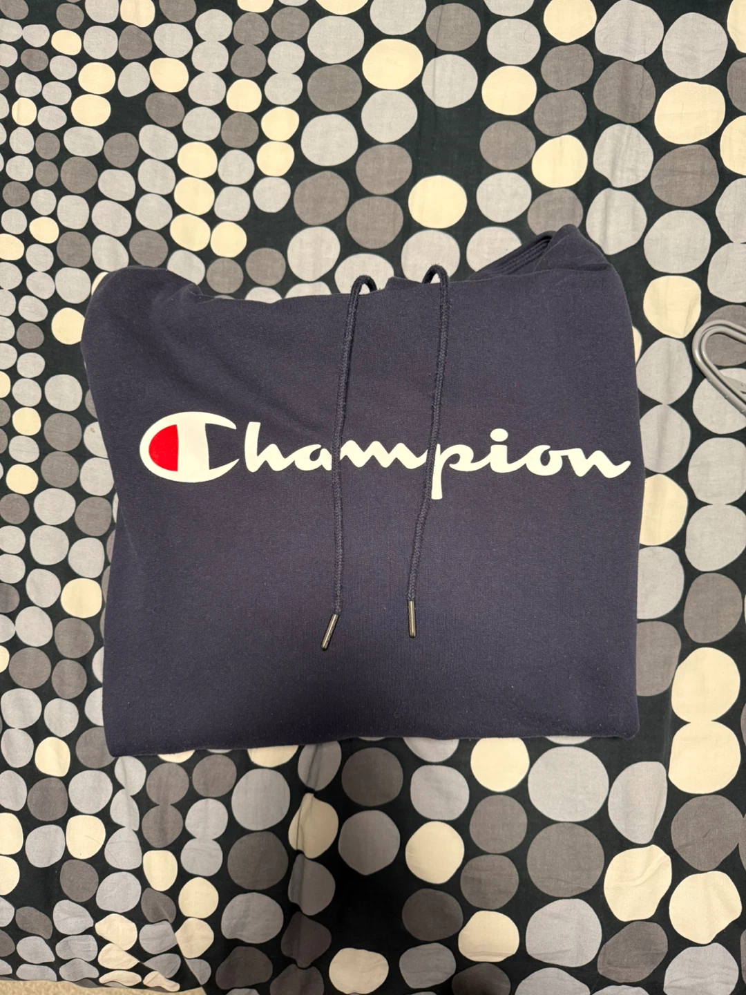 Men’s Champion Hoodie - Pick Up in Alpine Park SW