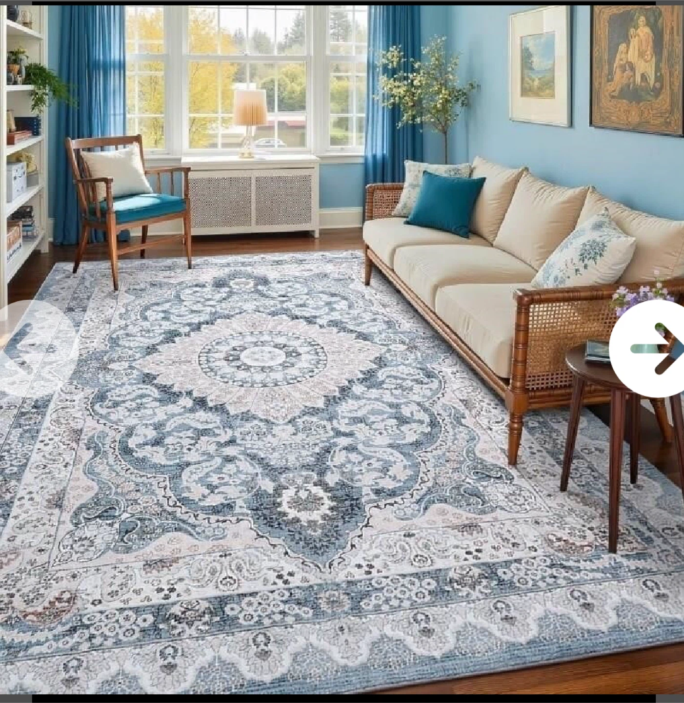 Blue & White Area Rug - Machine Washable