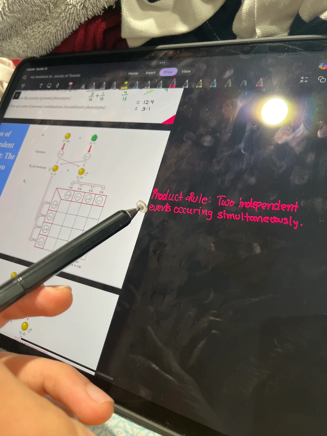 Tablet Stylus Pen - Black