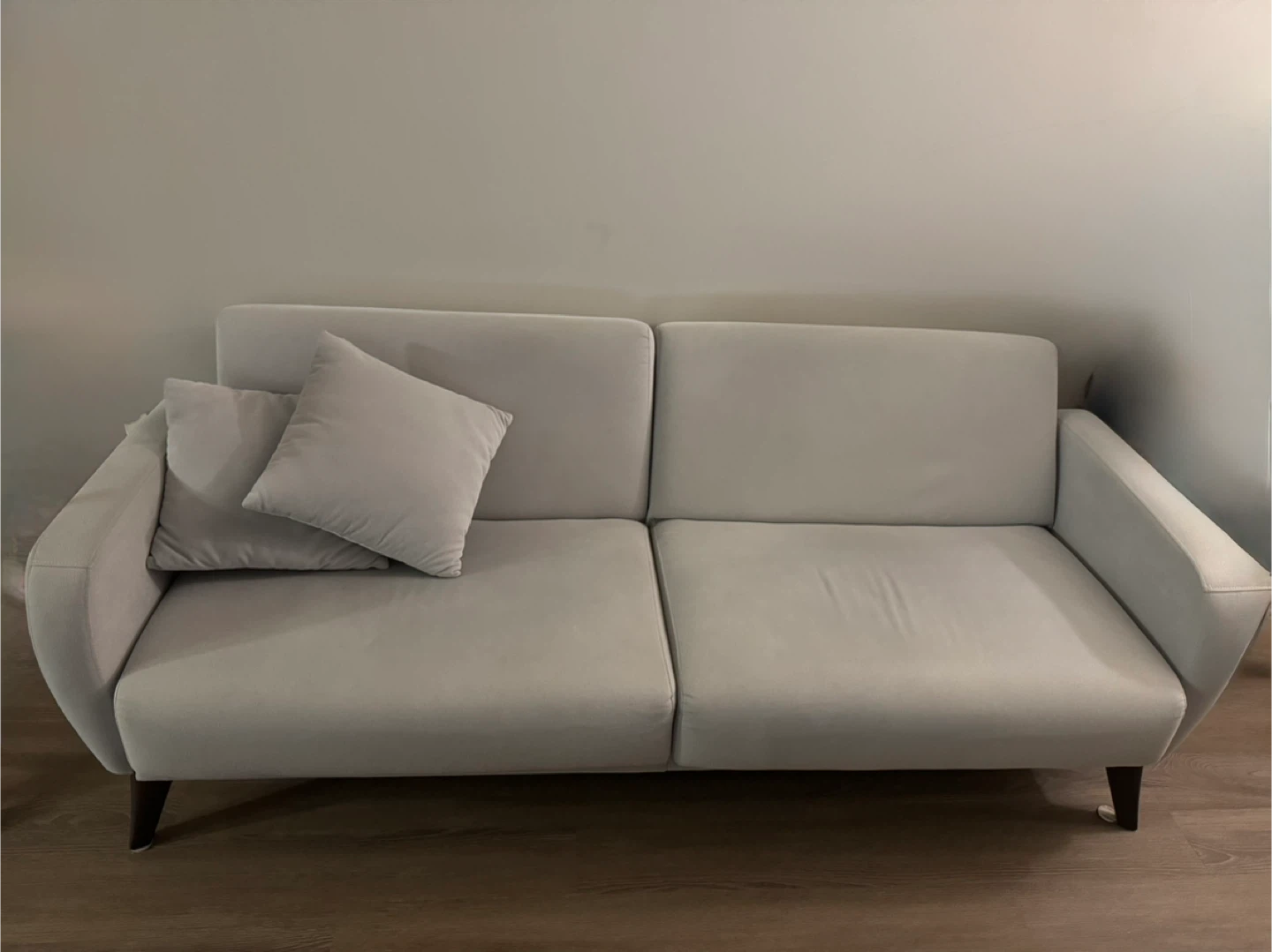 Light Gray Sofa with Pillows
