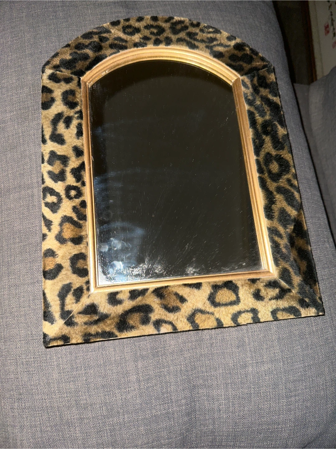 Leopard Print Accent Mirror