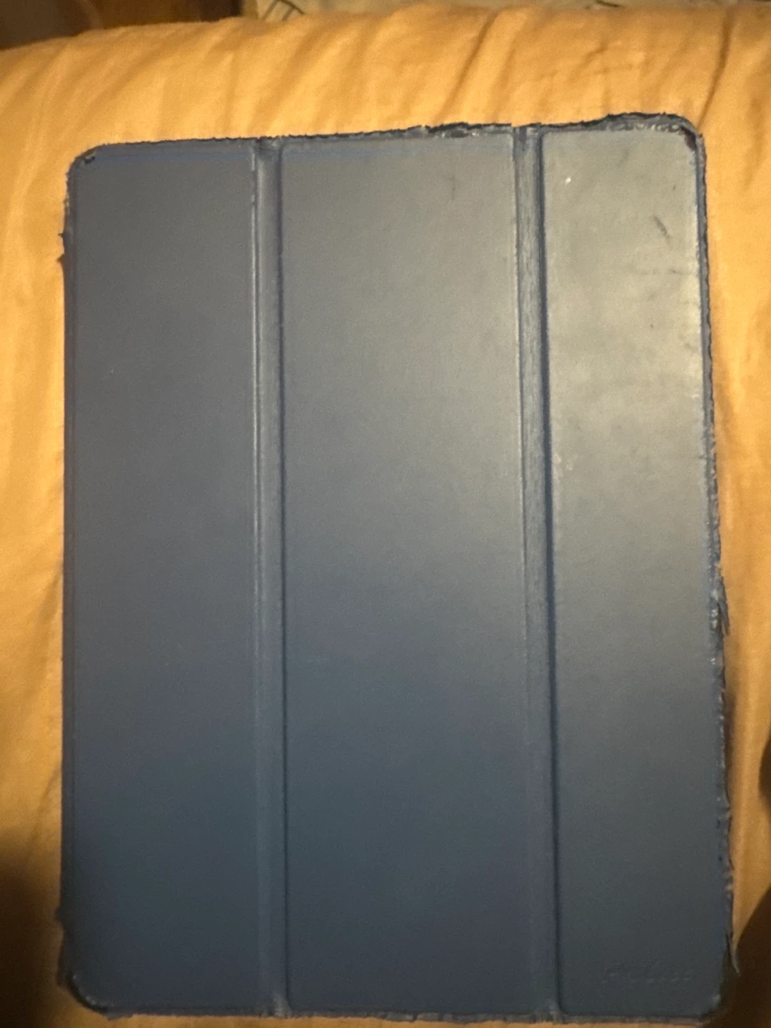 iPad Mini with Case & Pencil - photo 2
