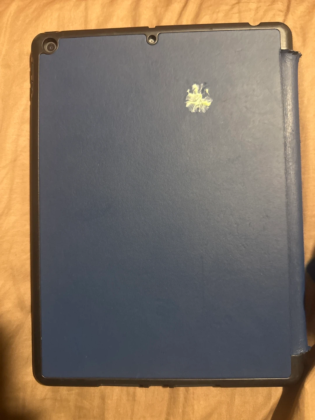 iPad Mini with Case & Pencil
