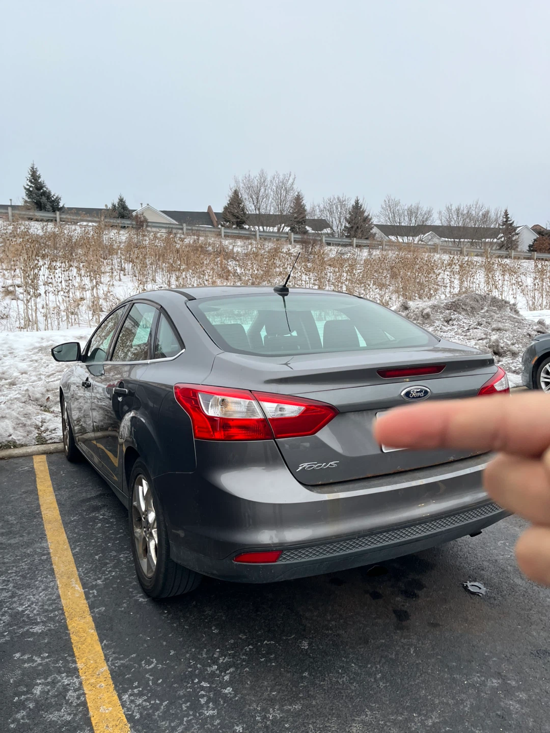 Ford Focus SEL Gray Sedan - photo 3