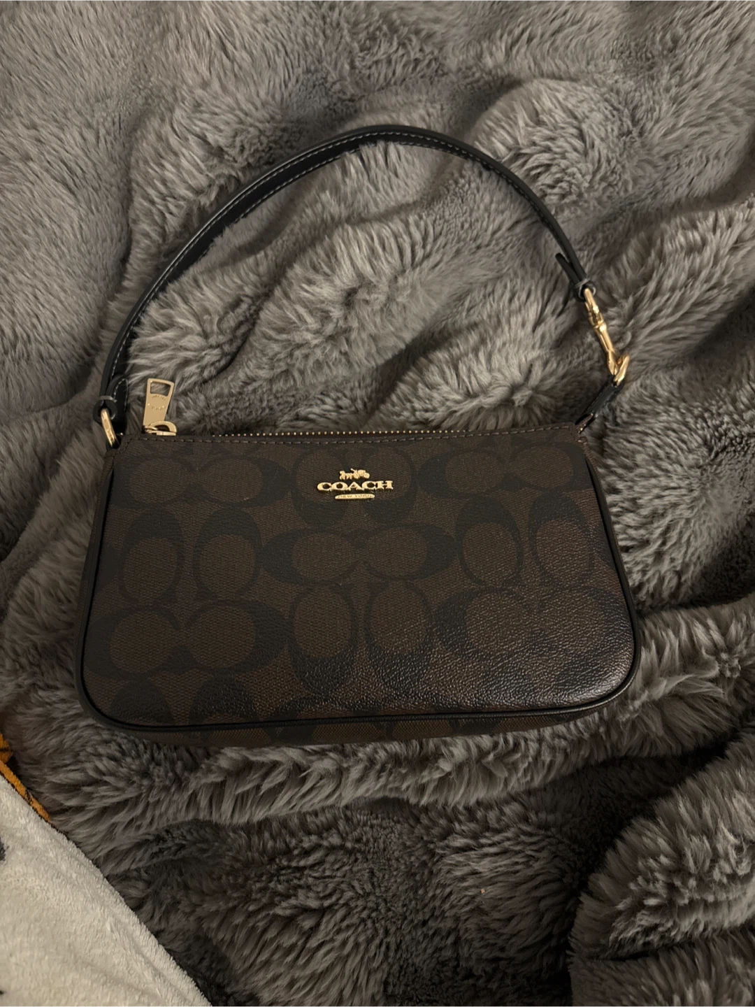 Coach Brown Signature Mini Bag