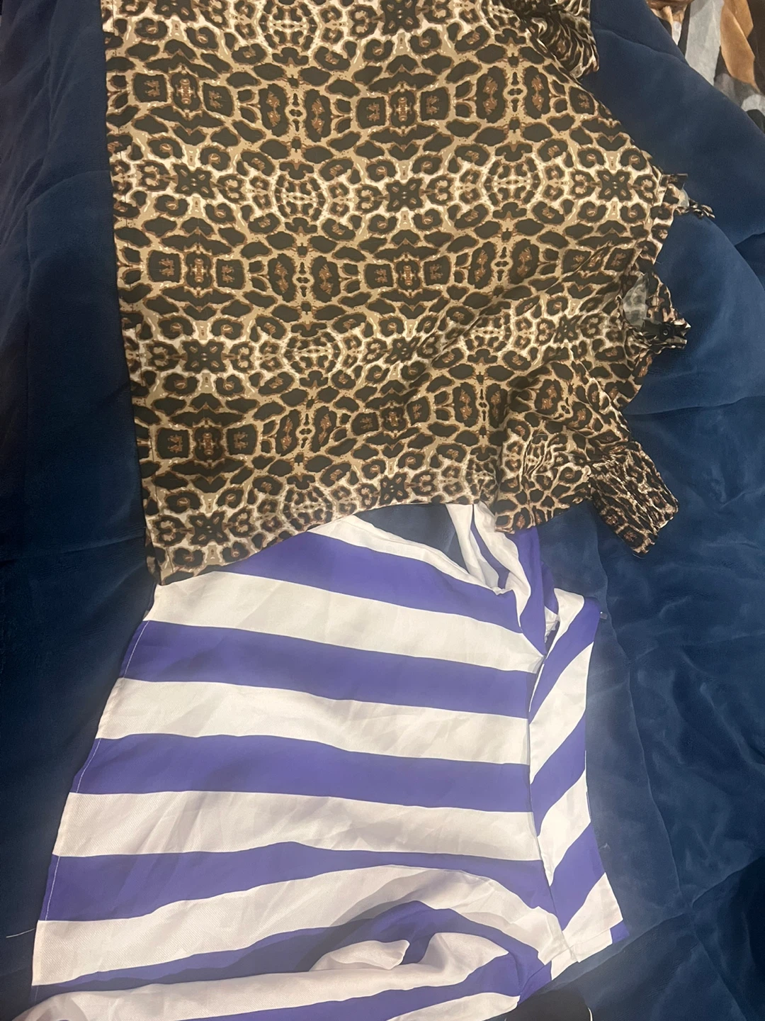 Two Tops - Leopard Print & Striped