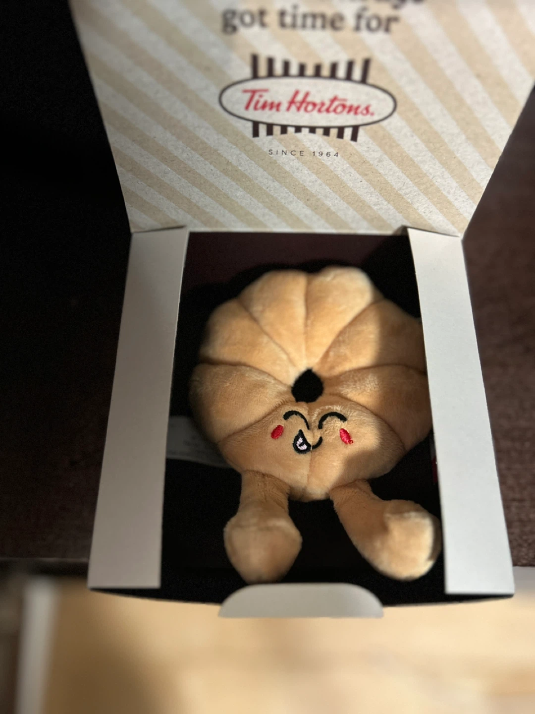 Tim Horton Plushie - Clara Cruller - New in Box! - photo 3