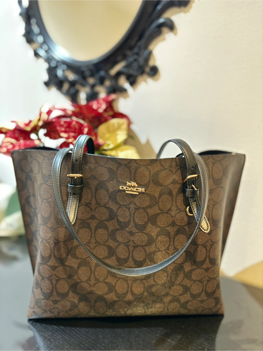 Coach Signature Tote Bag - Brown/Black