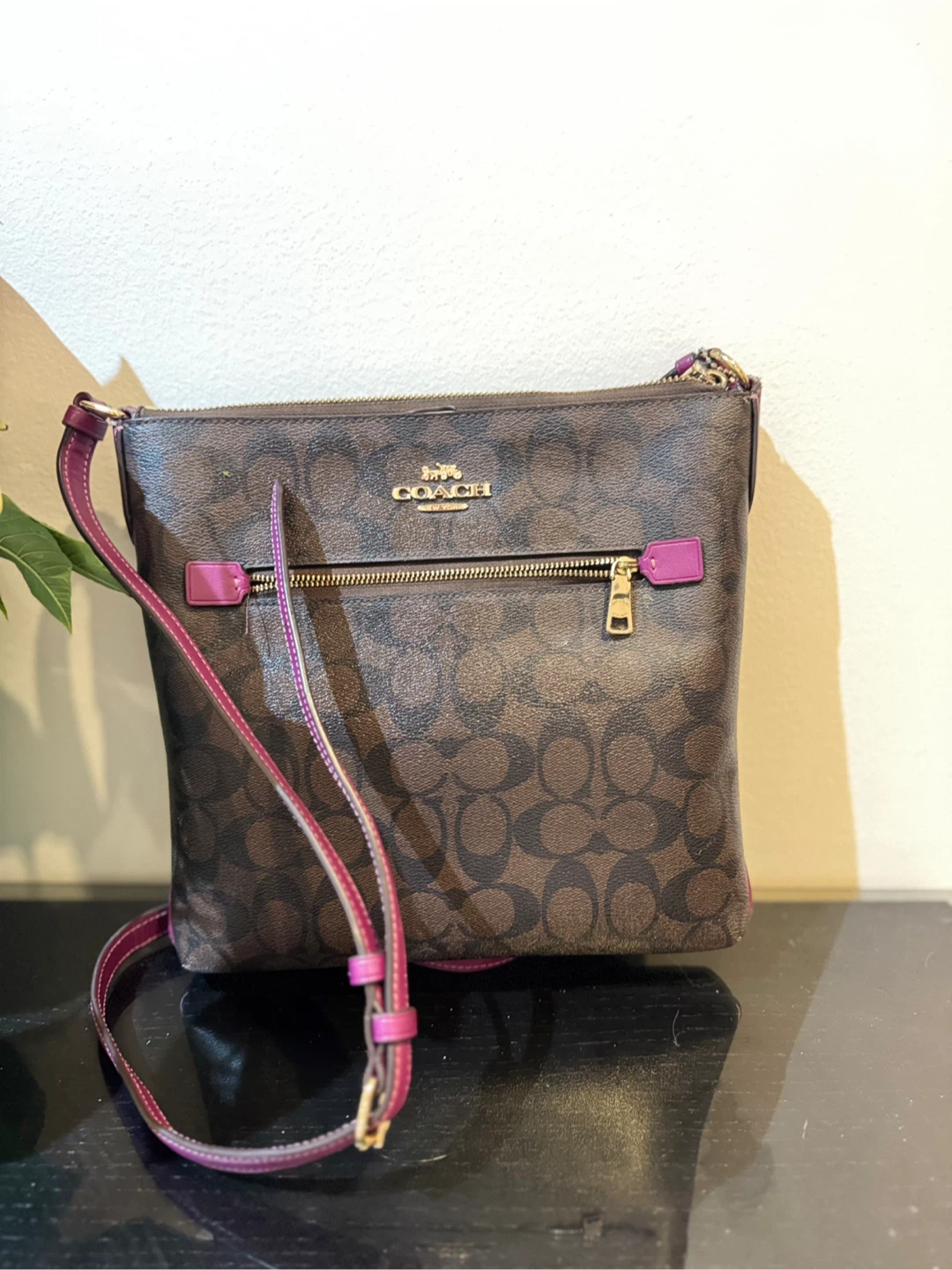 Coach Crossbody Bag - Brown & Purple