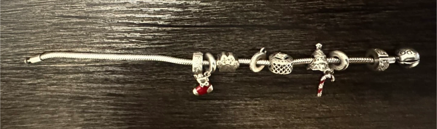 Pandora Charm Bracelet - photo 2