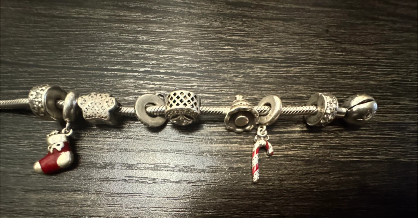 Pandora Charm Bracelet
