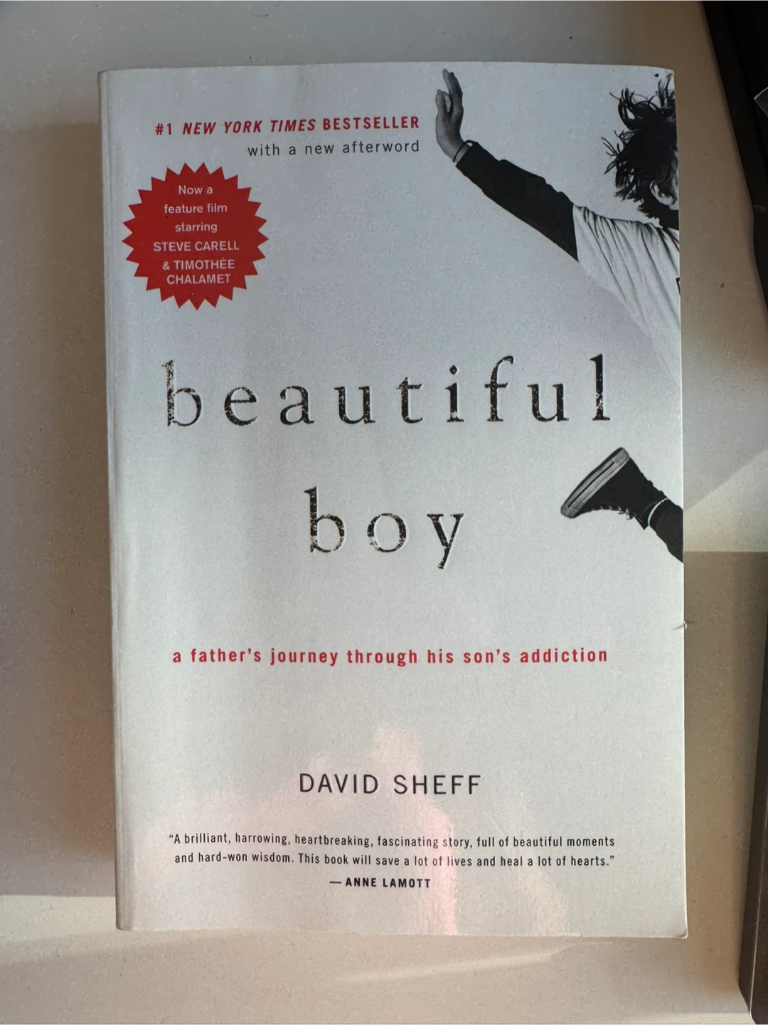 Beautiful Boy paperback