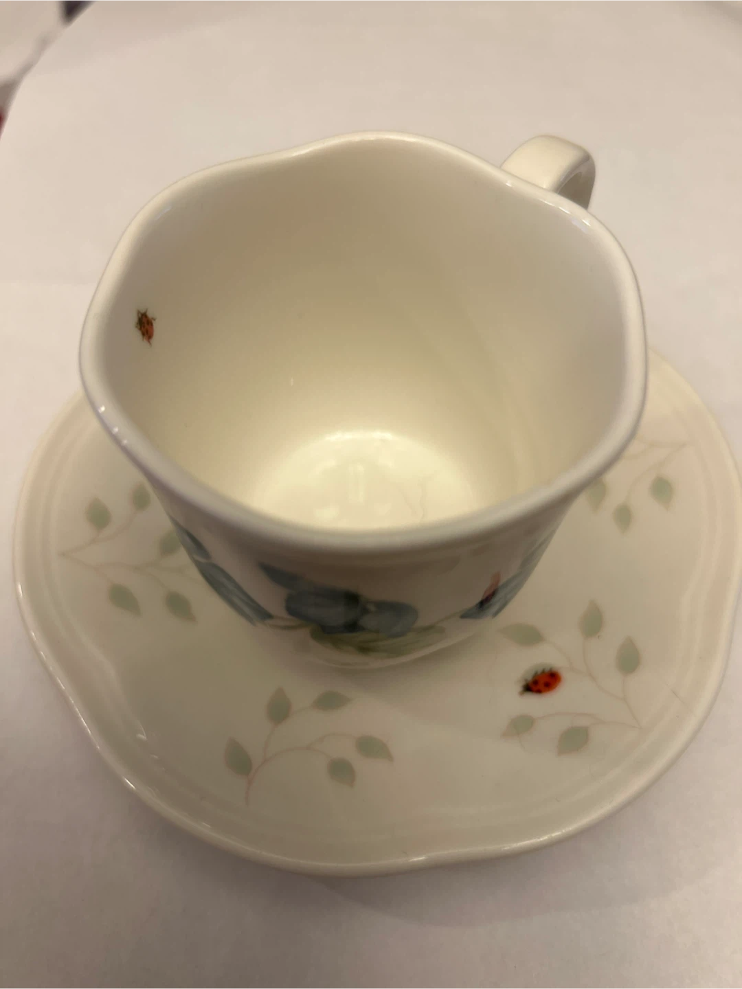 Lenox Butterfly Meadow Cup and Saucer Set