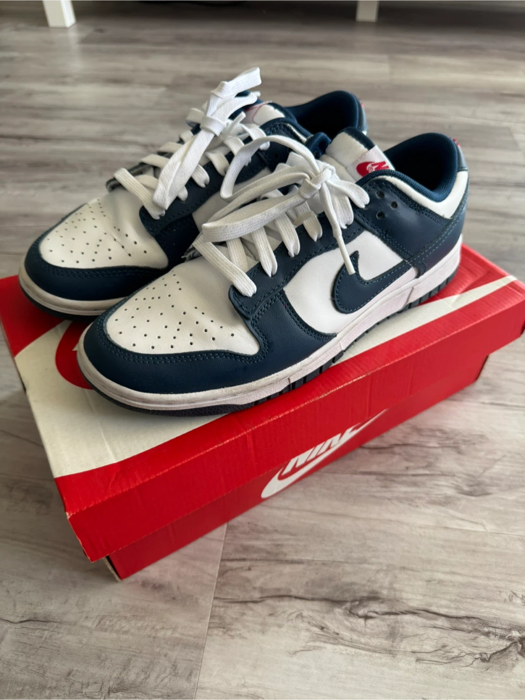 Nike Dunk Low Retro White/Valerian Blue