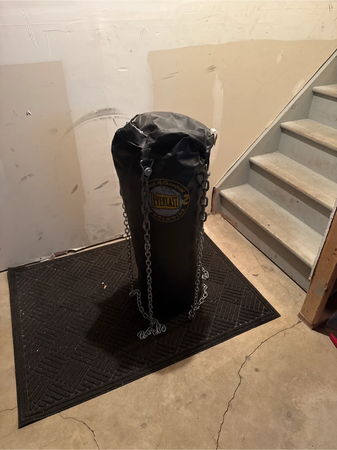 Everlast Heavy Punching Bag