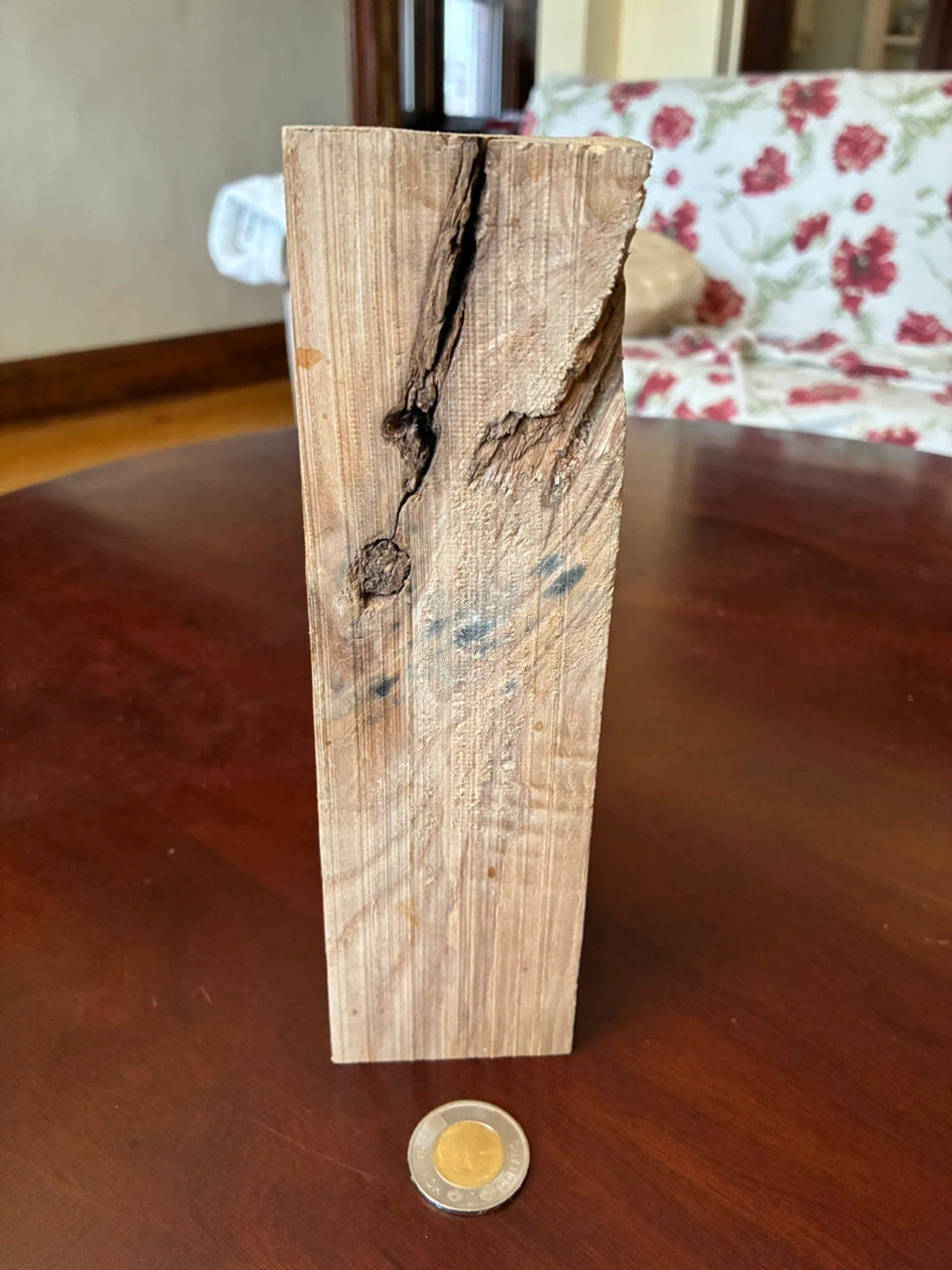 Burl hardwood display art piece Knick knack  8 x 2.5 in square - photo 2