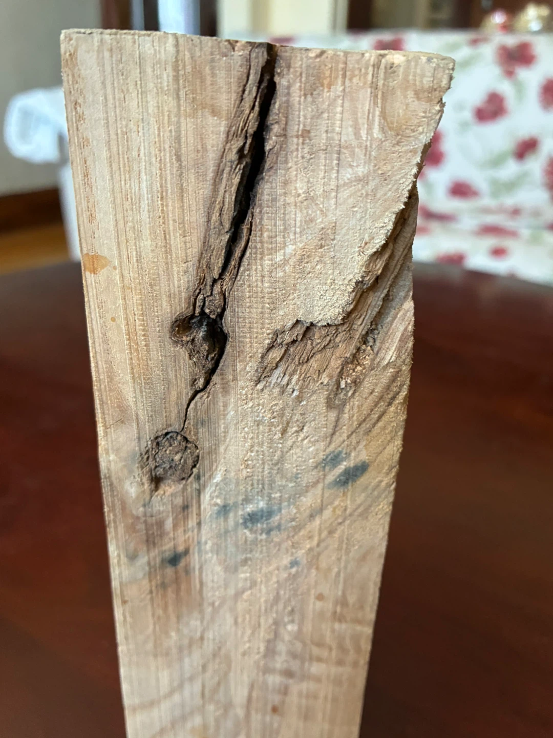 Burl hardwood display art piece Knick knack  8 x 2.5 in square