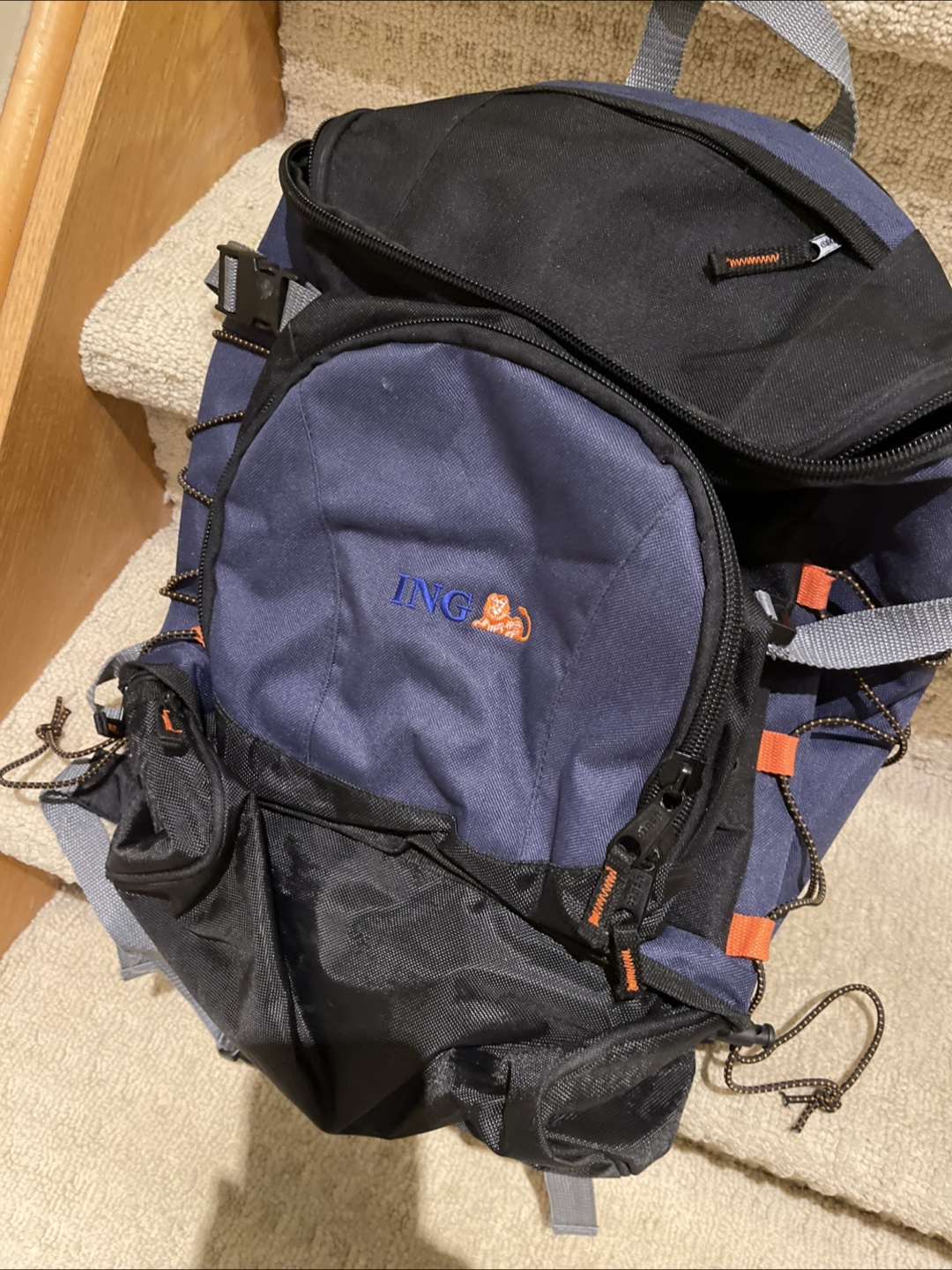 ING Backpack - Blue and Black
