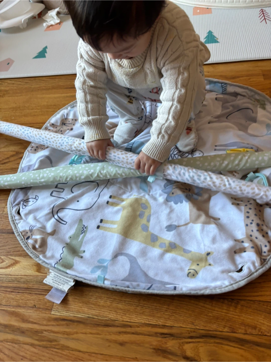 Carter's Baby Play Gym - photo 2