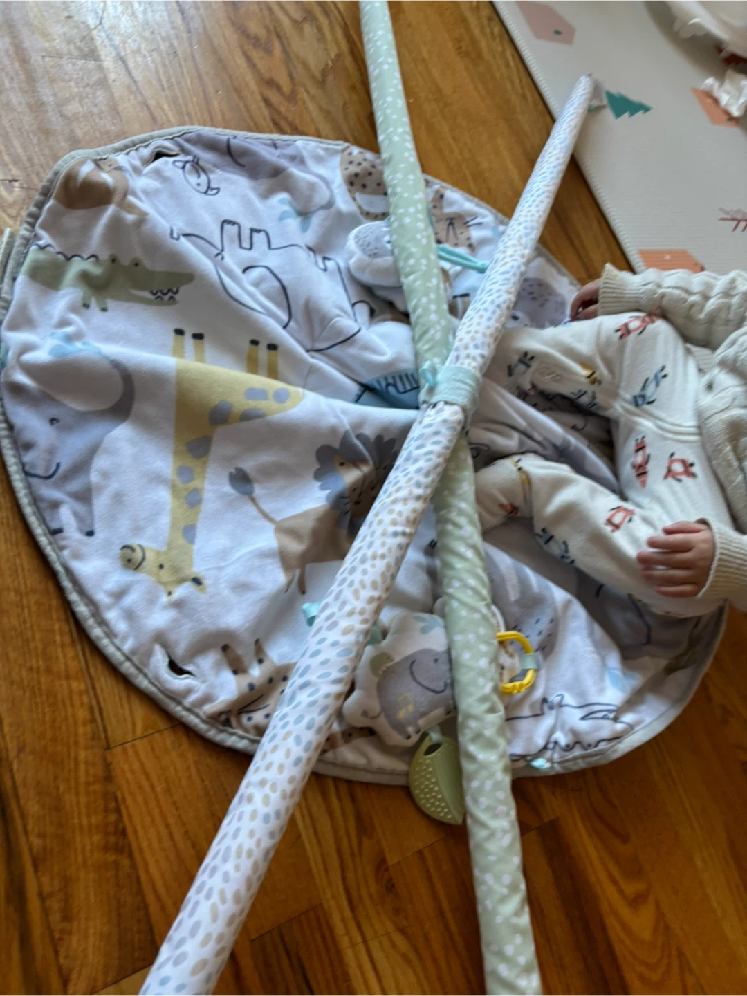 Carter's Baby Play Gym - photo 3