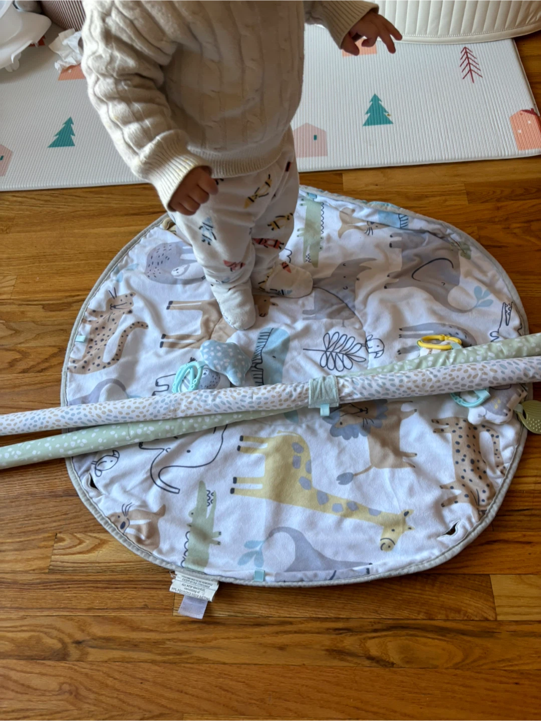 Carter's Baby Play Gym