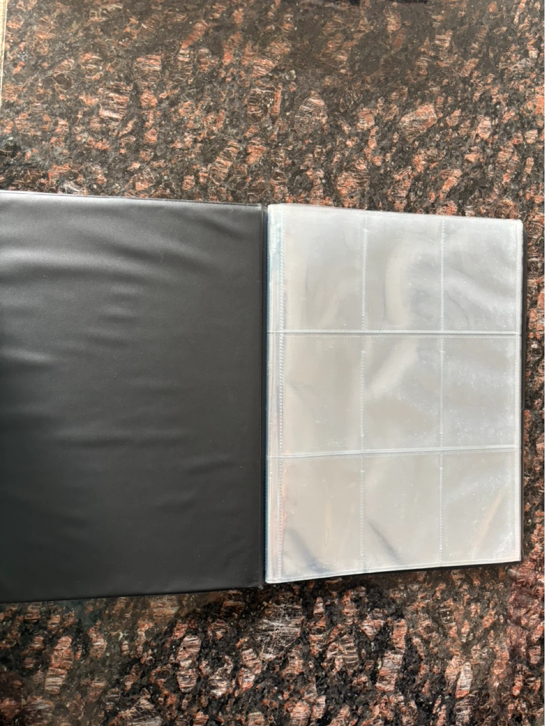 Pokémon Trading Card Game Platinum Binder - photo 3