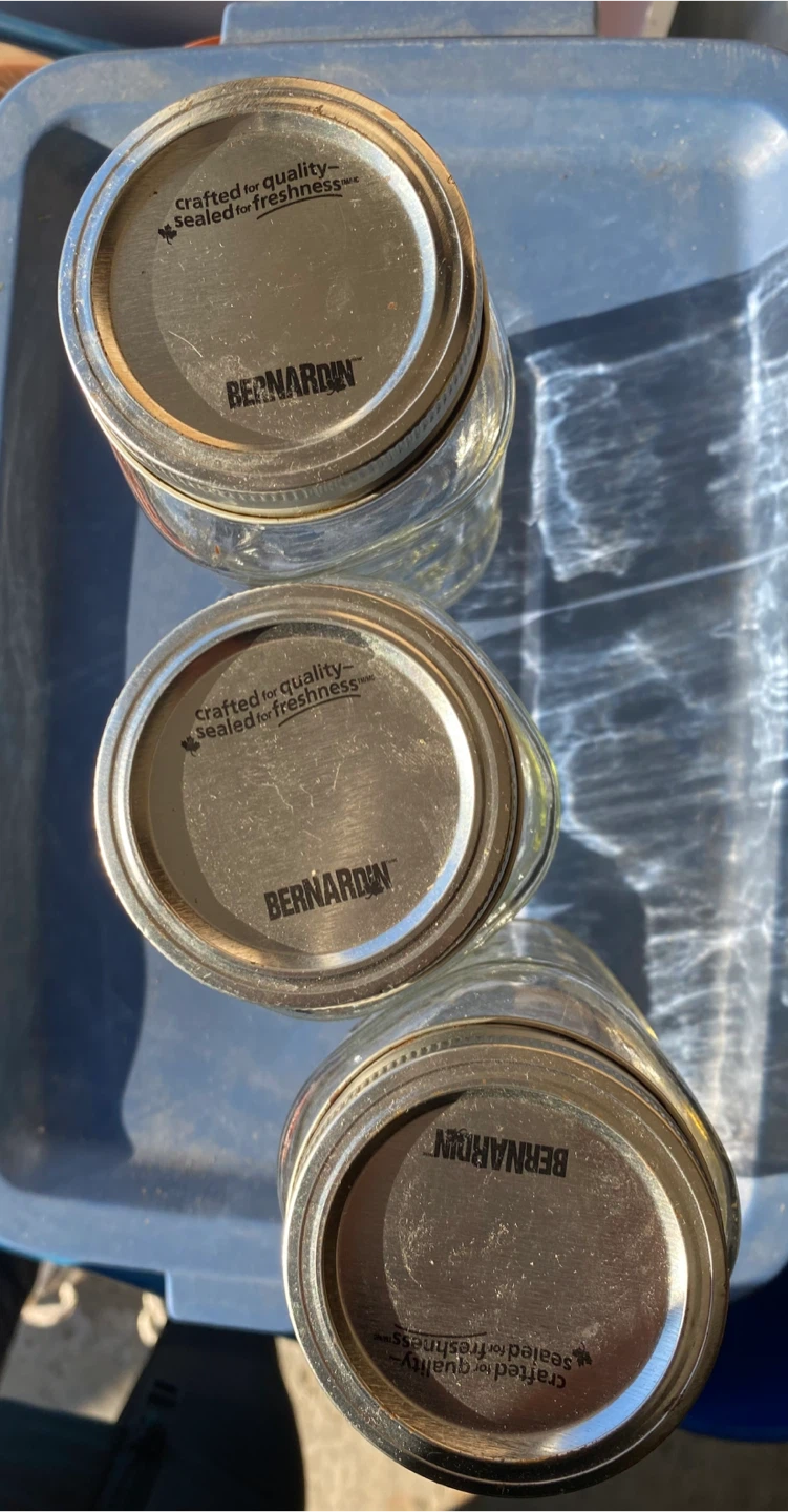 🧡Mason Jars - photo 3
