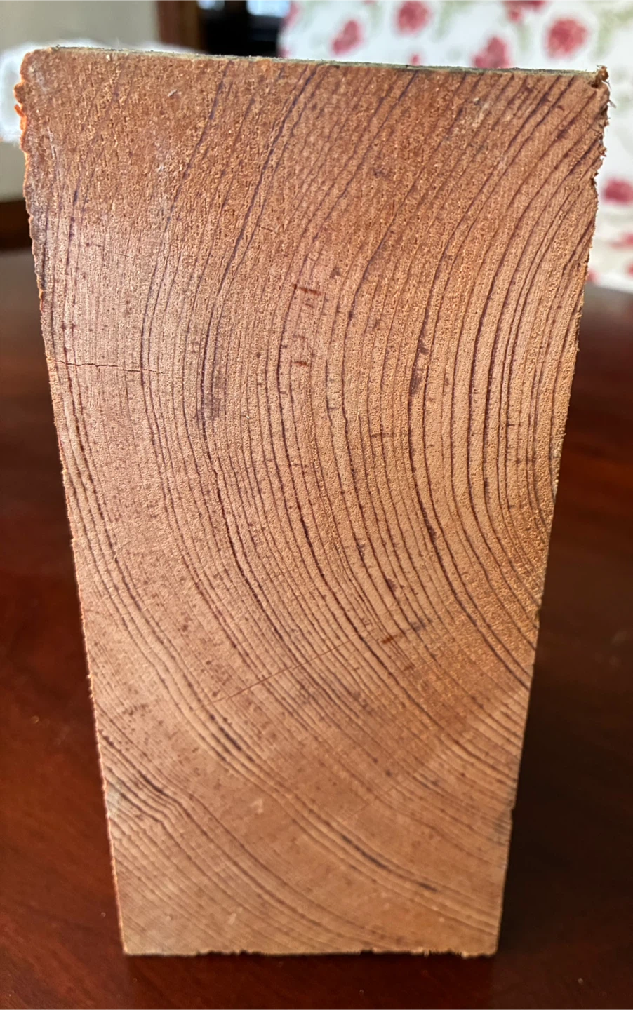 Block finely grained wood paperweight Douglas fir art