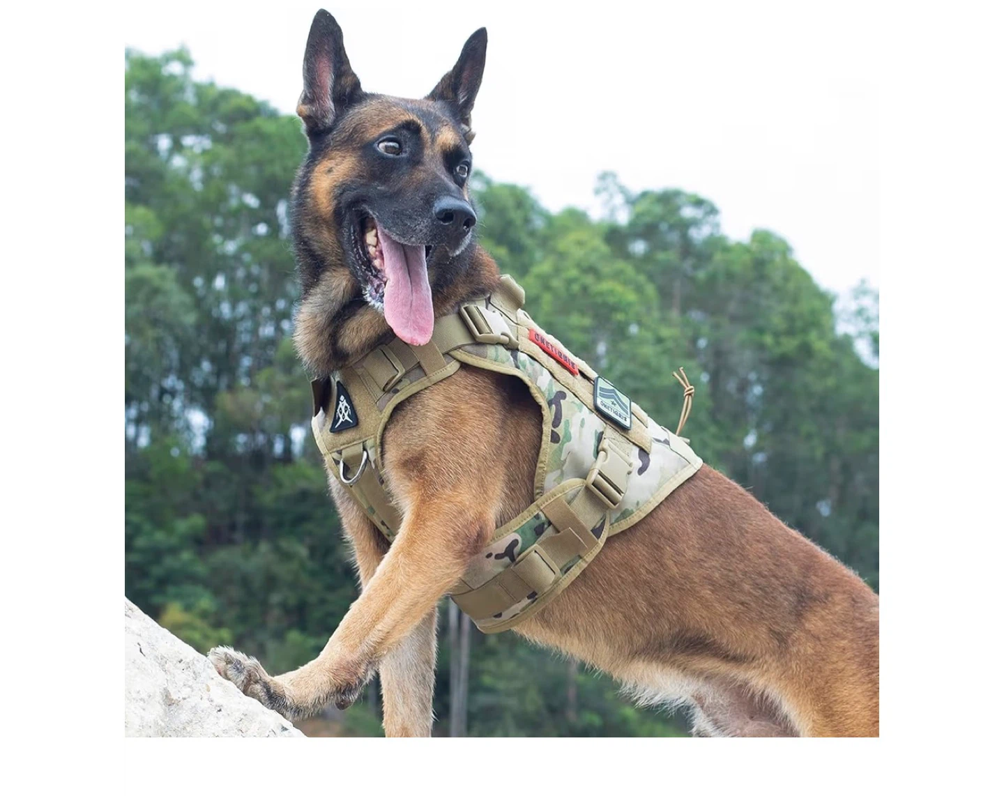 AUROTH Tactical Dog Harness - Size L - New in Box! - photo 5