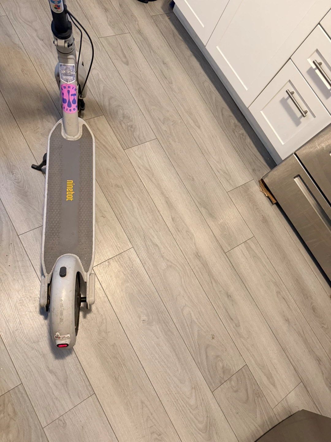Ninebot Electric Scooter