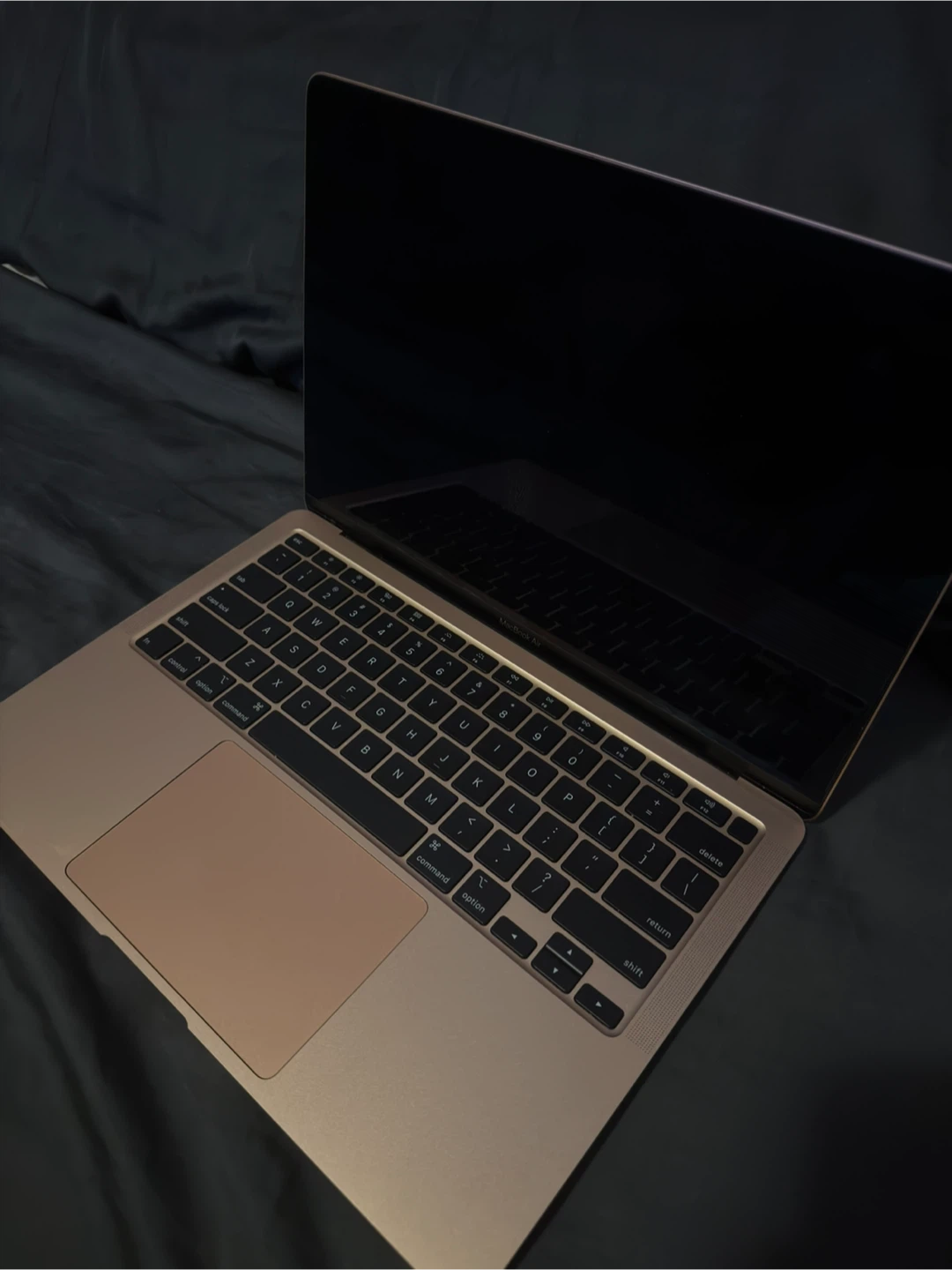 MacBook Air 13-inch, 2020 - photo 2