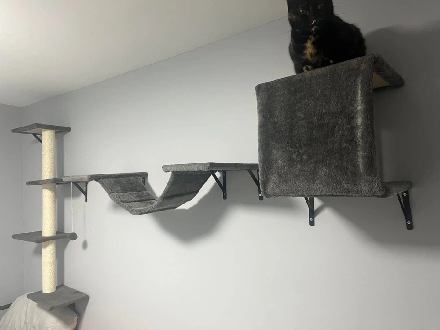 Cat Wall Shelves & Scratching Post