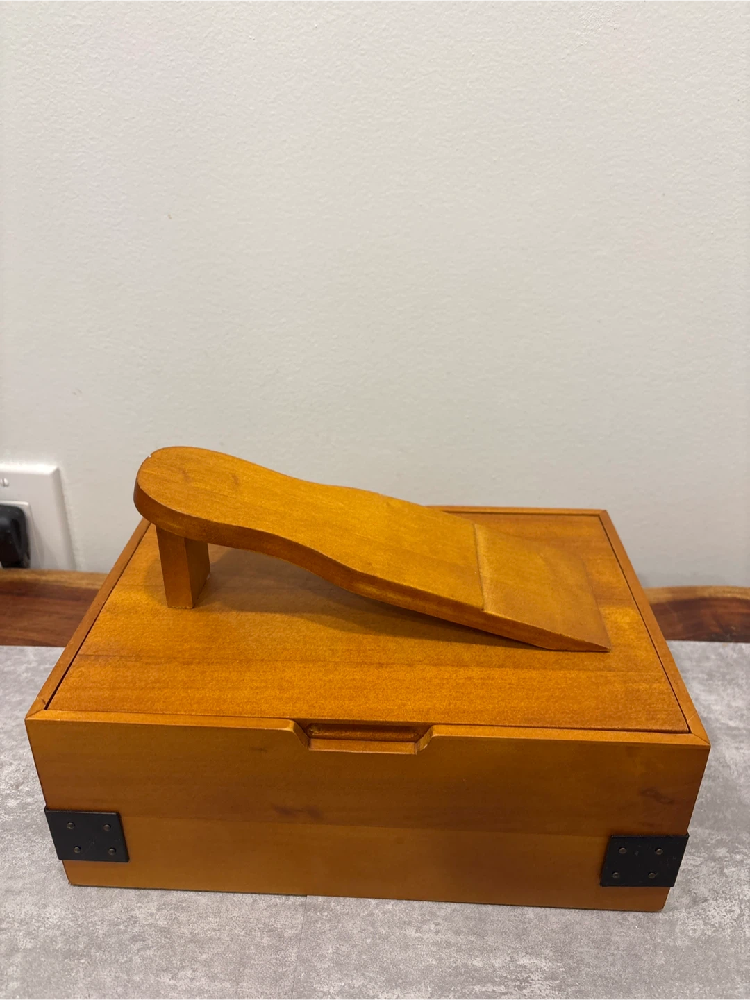 Panther Shoe Polish Kit with Brushes