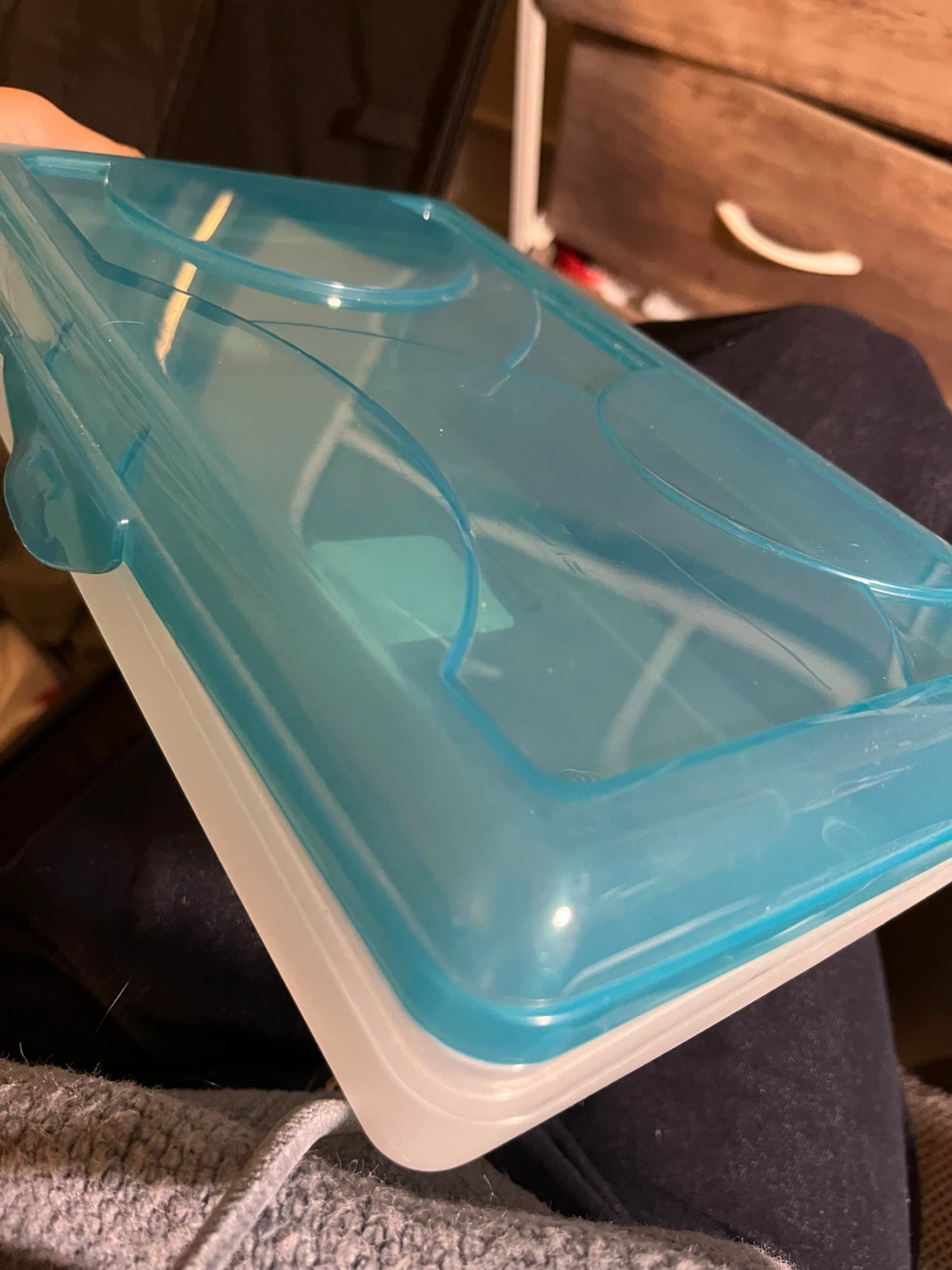 Sterilite Food Storage Container