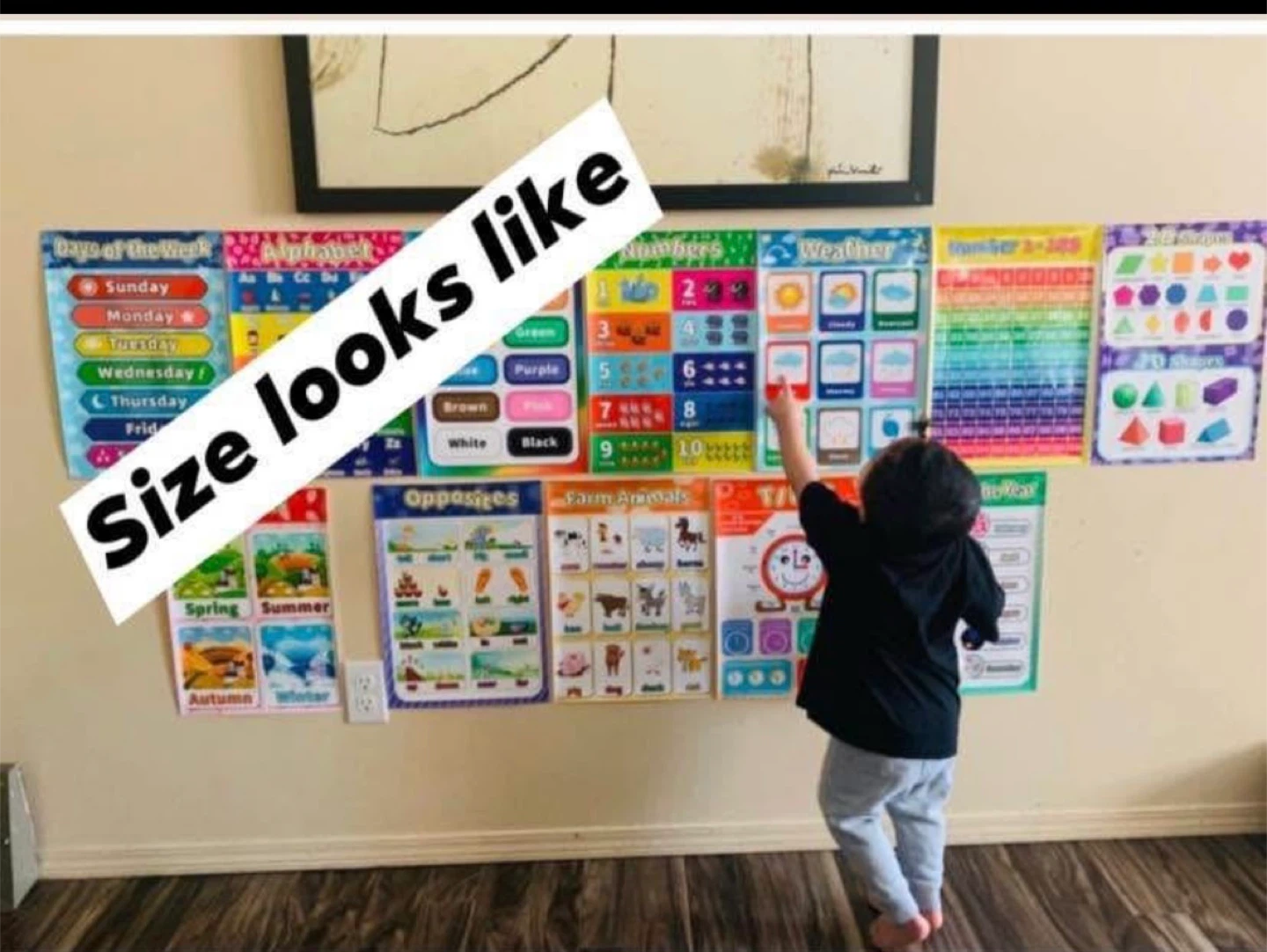 Educational Wall Posters for Kids