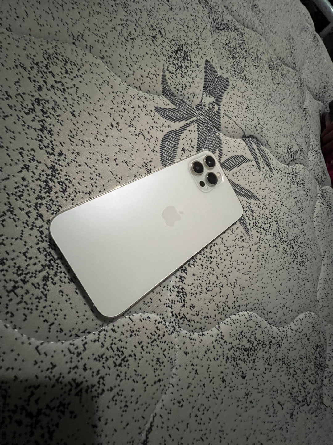 iPhone 12 Pro Max and cases - photo 2